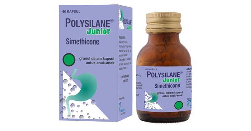 polysilaneindonesia.com
