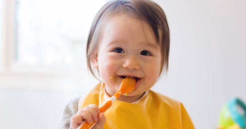 Shutterstock/alice-photo