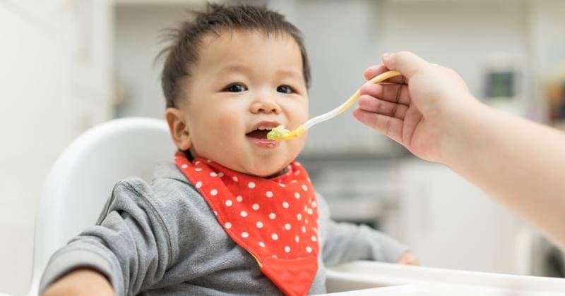 Shutterstock/alice-photo