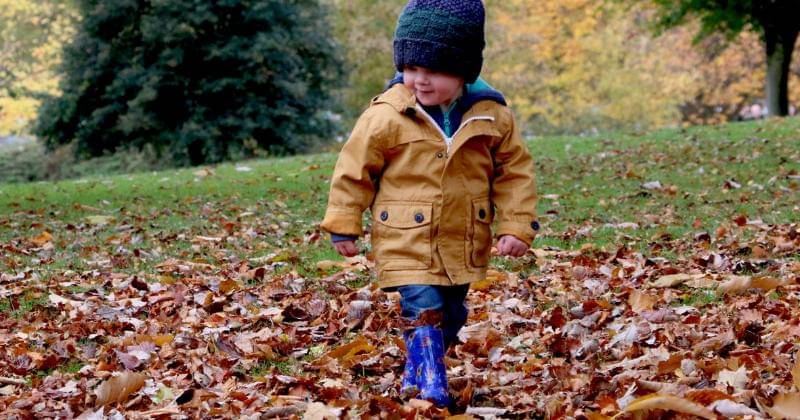 Unsplash/Michael Podger