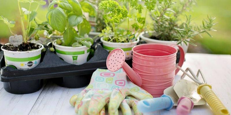 Pixabay/JillWellington