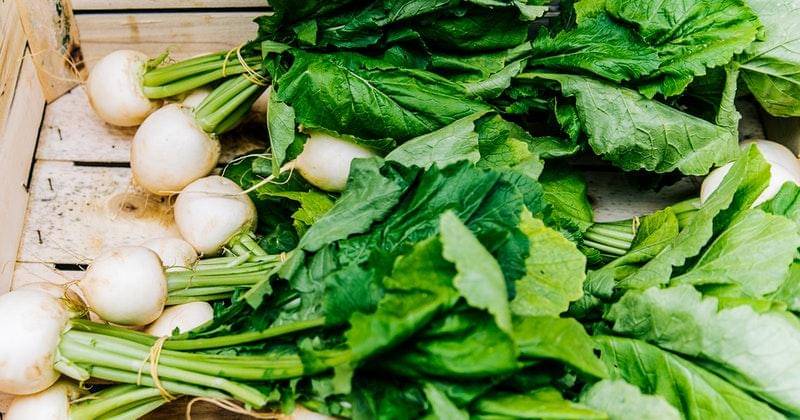 Pexels.com/Daria Shevtsova