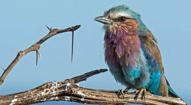 unsplash.com/David Clode