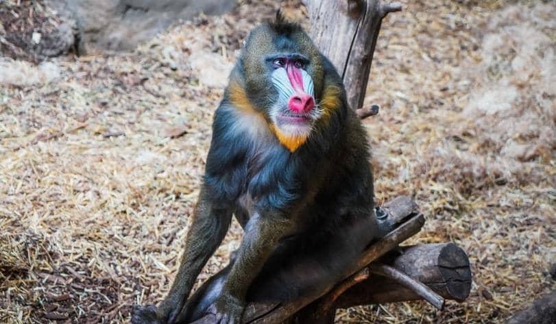 unsplash.com/@yomex4life