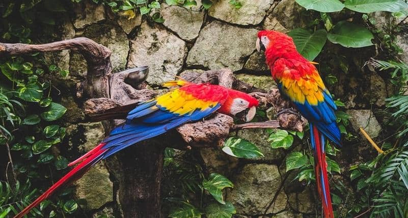 unsplash.com/@rita_vicari