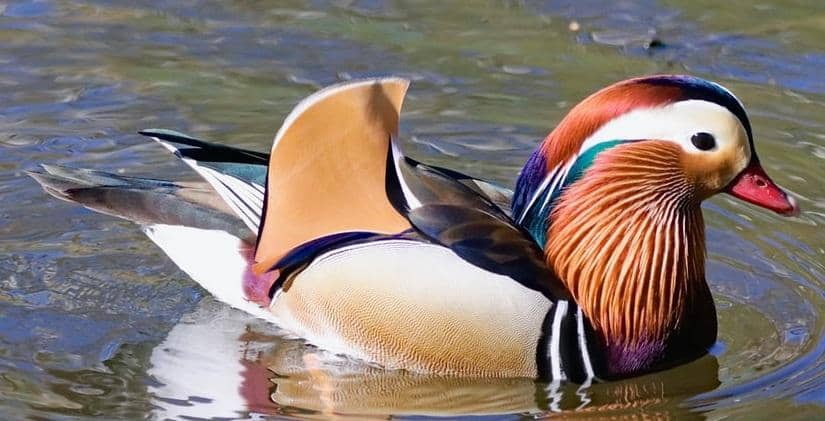 unsplash.com/@veverkolog