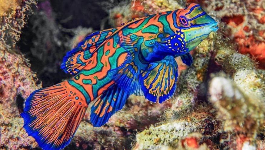 unsplash.com/@dorographie