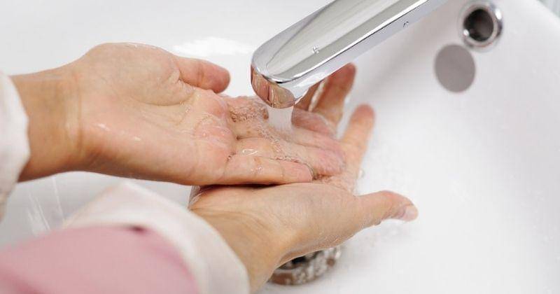 Pexels/ Edward Jenner