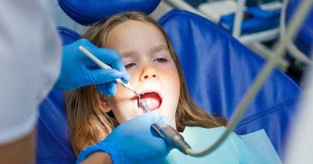 Freepik/Tatiana-gordievskaya1