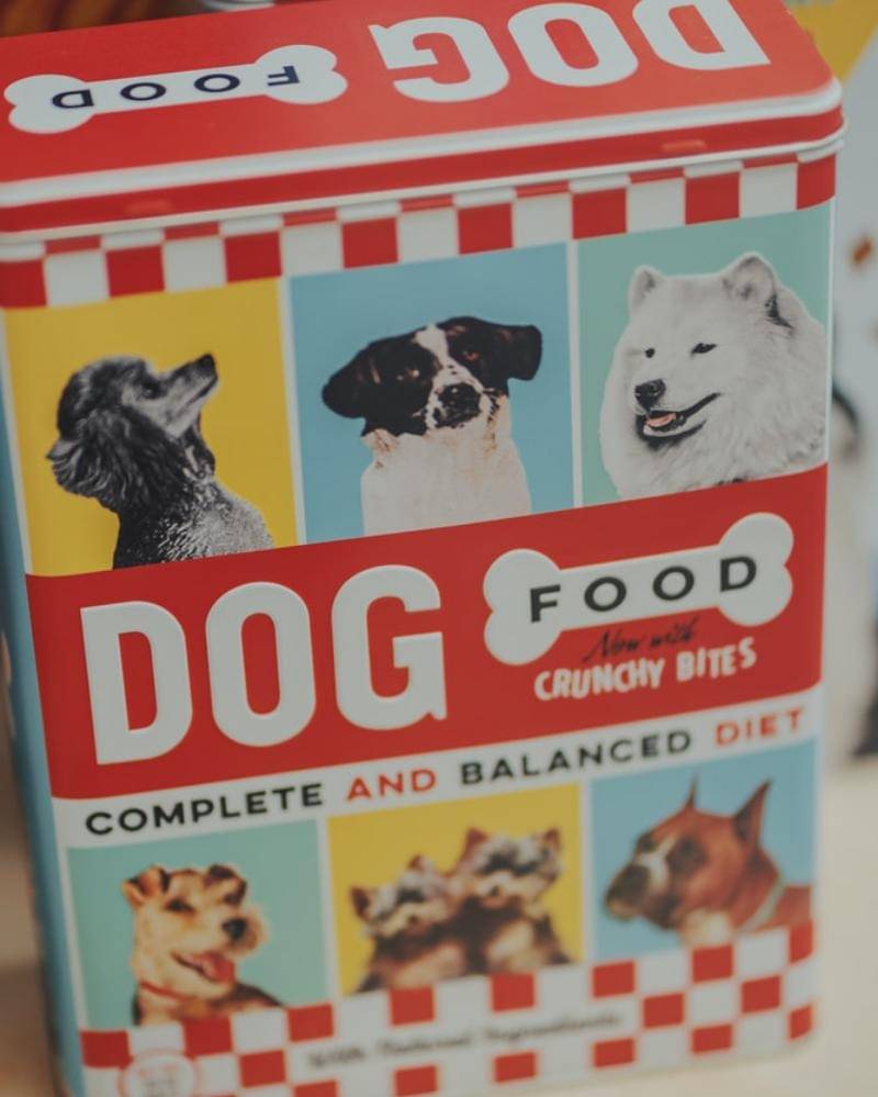 Unsplash/Daniel von Appen