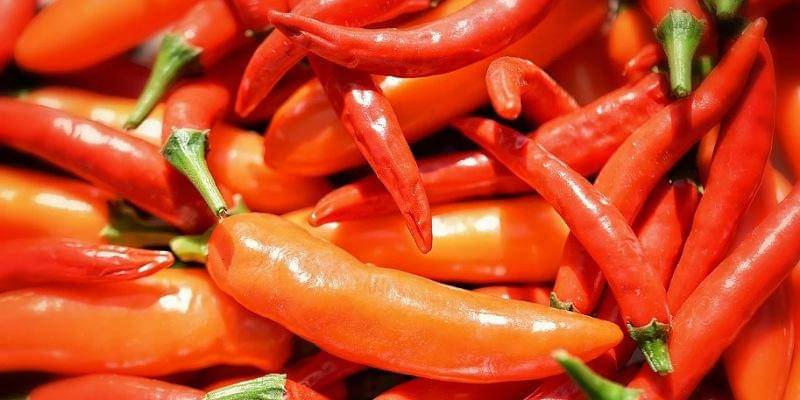 Pixabay/Frantisek_Krejci