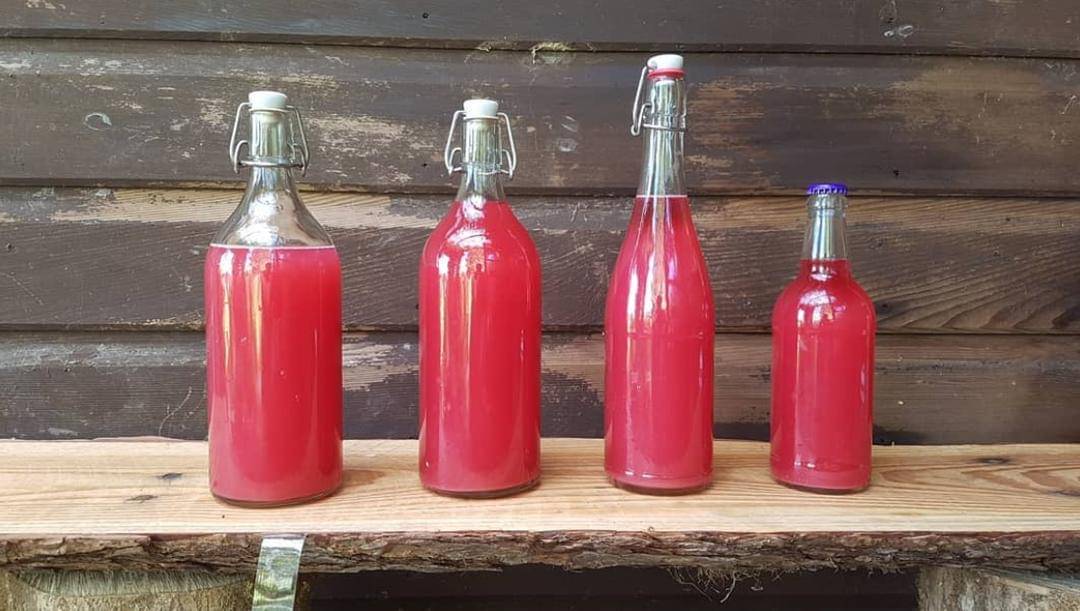 Instagram/ bearfoot_brewers