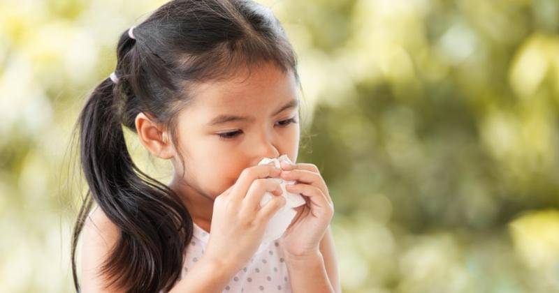 Shutterstock/A3pfamily