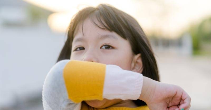 Shutterstock/MIA Studio