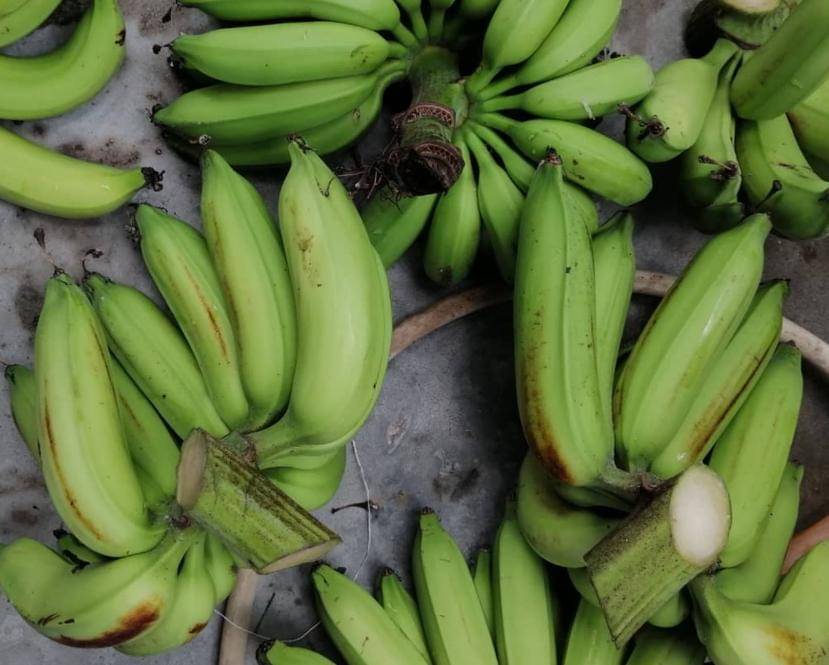 Instagram/suriantiarshadgmai