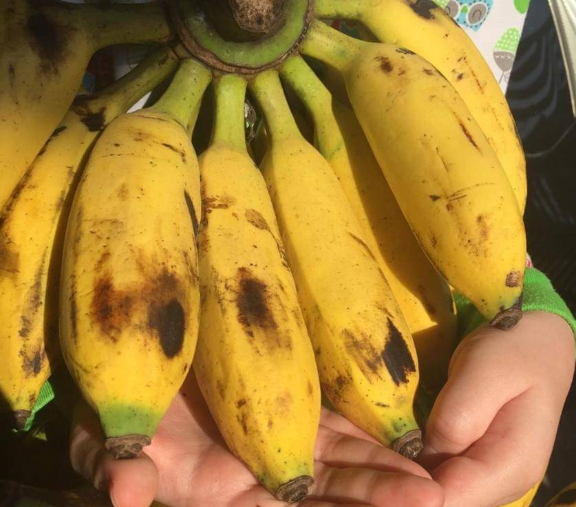 Instagram/erlinprawiranegara