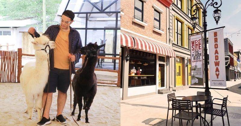 Instagram.com/scientiasquare.park & flavorbliss