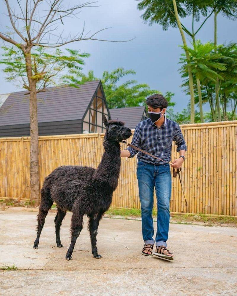 Instagram.com/scientiasquare.park