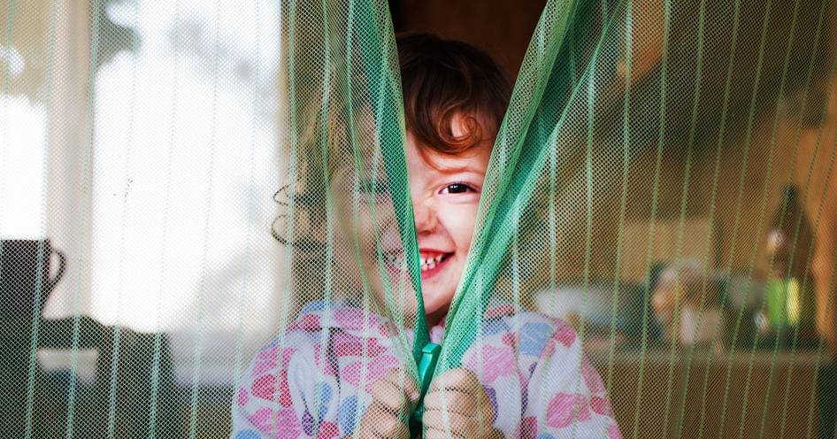 Shutterstock/Geniz Angelina