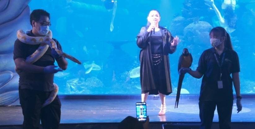 Dok. Jakarta Aquarium