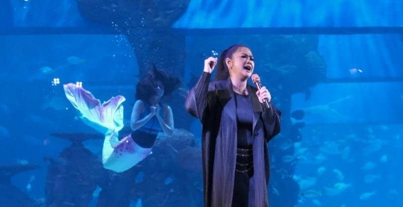 Dok. Jakarta Aquarium