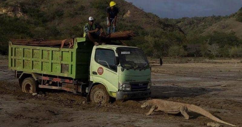 Instagram.com/gregoriusafioma