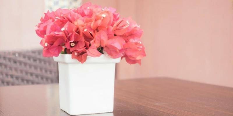 Freepik/lifeforstock