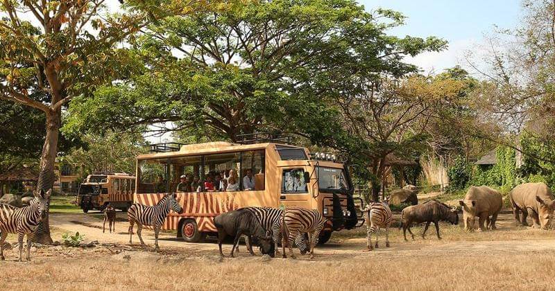 Safaribaliticket.com