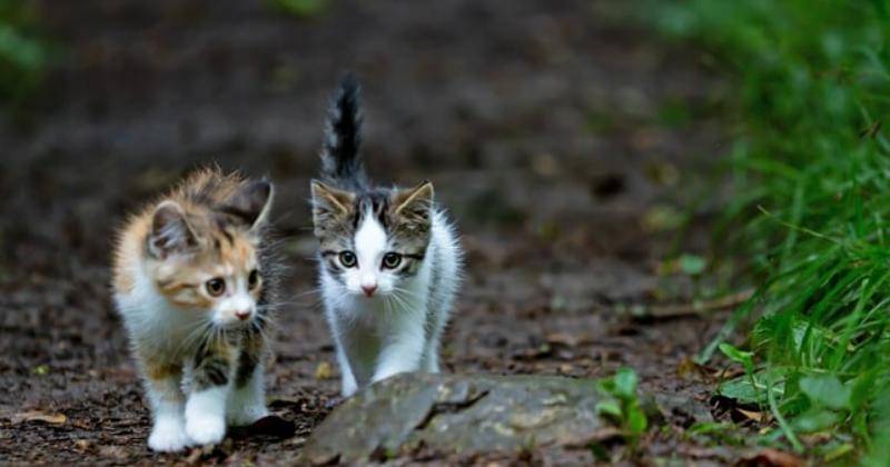 Unsplash/Dorothea OLDANI