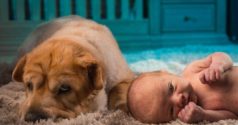 Unsplash/Jimmy Connover