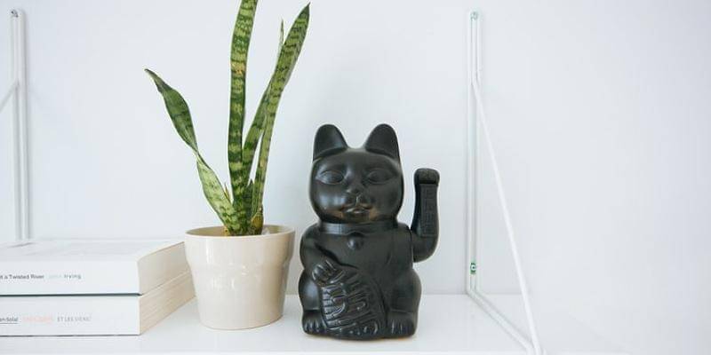 Unsplash/Charles Deluvio