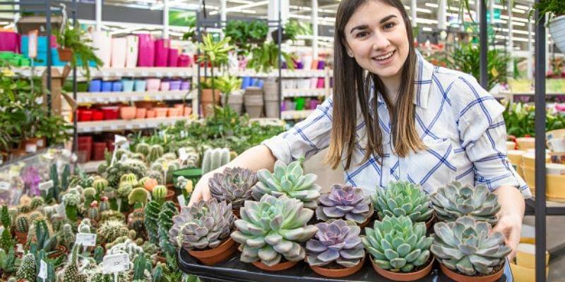 Freepik/pvproductions 