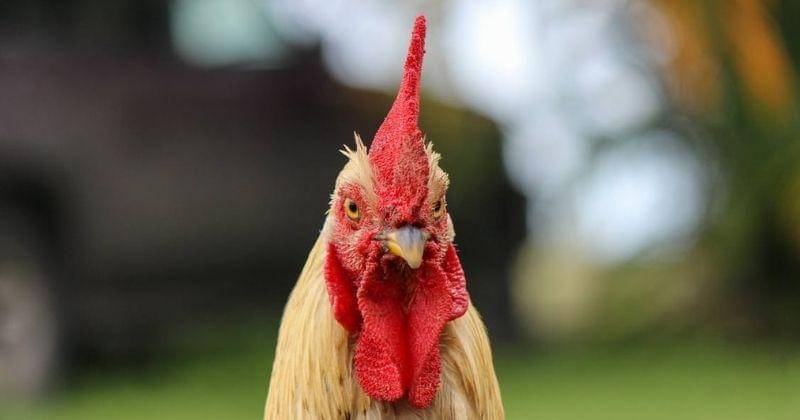 Unsplash/Leonardo Jarro