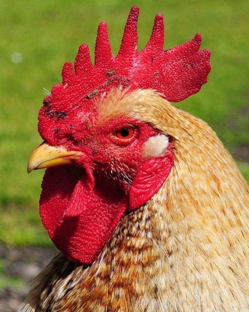 Unsplash/Skitterphoto