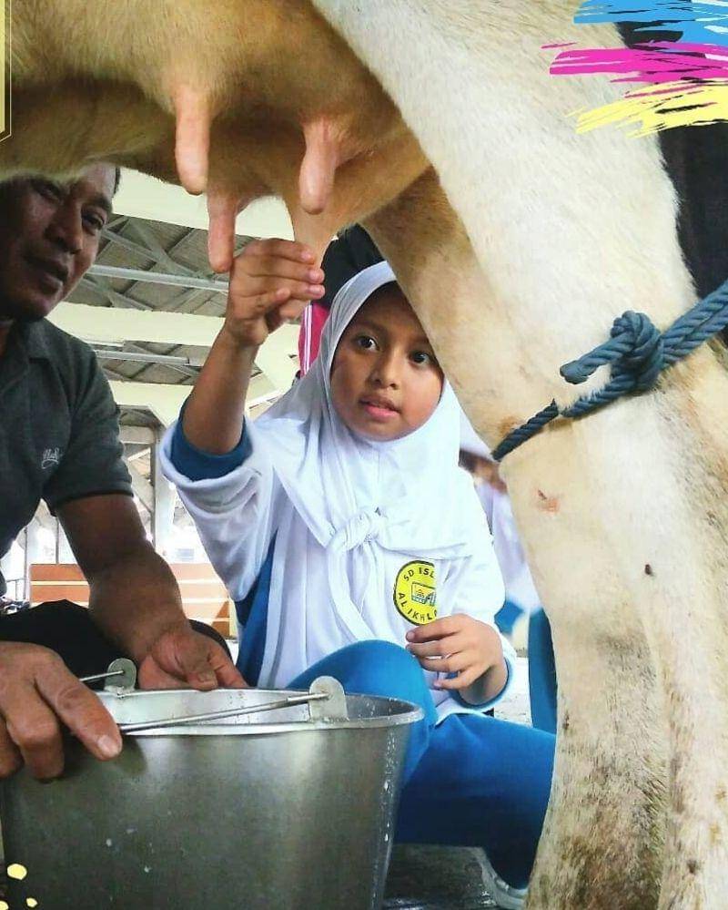 instagram.com/sentulfresh