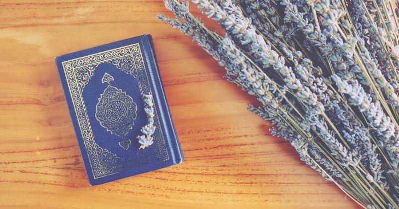 Unsplash/The Dancing Rain