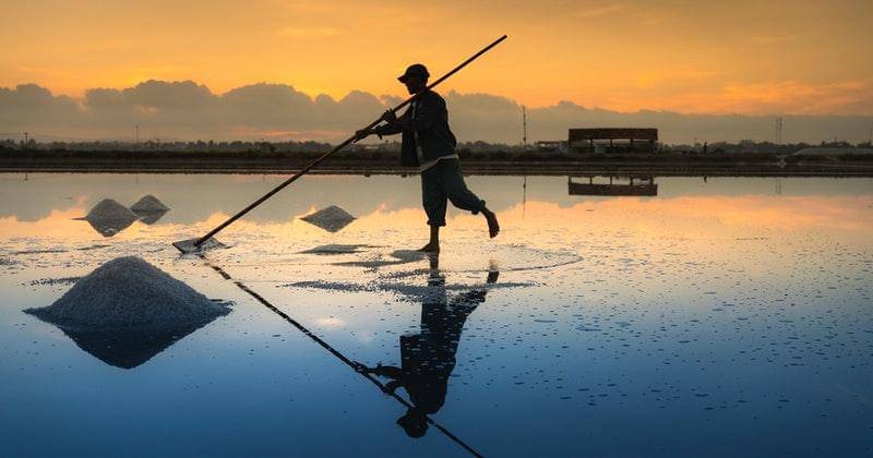 Pexels/Quang Nguyen Vinh