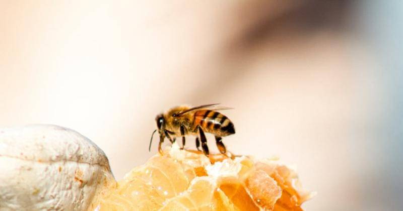 Unsplash/Meggyn Pomerleau