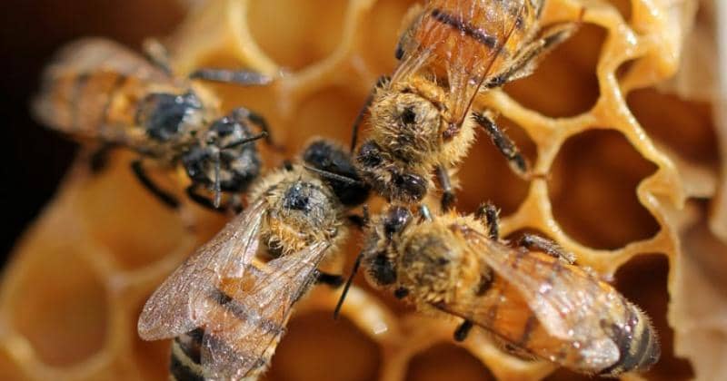 Unsplash/Shelby Cohron