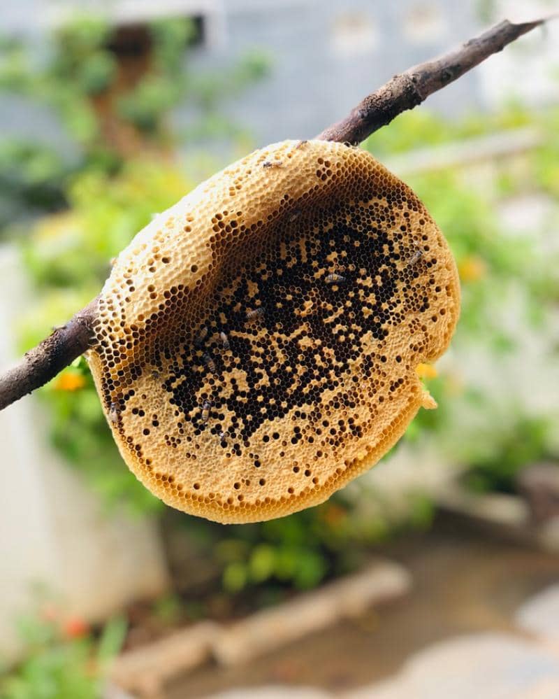 Unsplash/Pavan Reddy