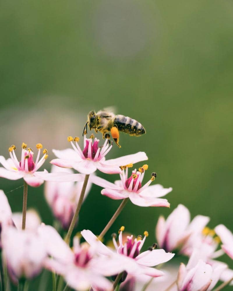 Unsplash/Aaron Burden