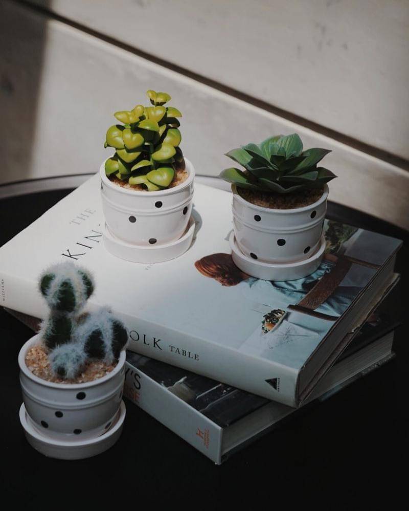 Instagram.com/JYSK Indonesia