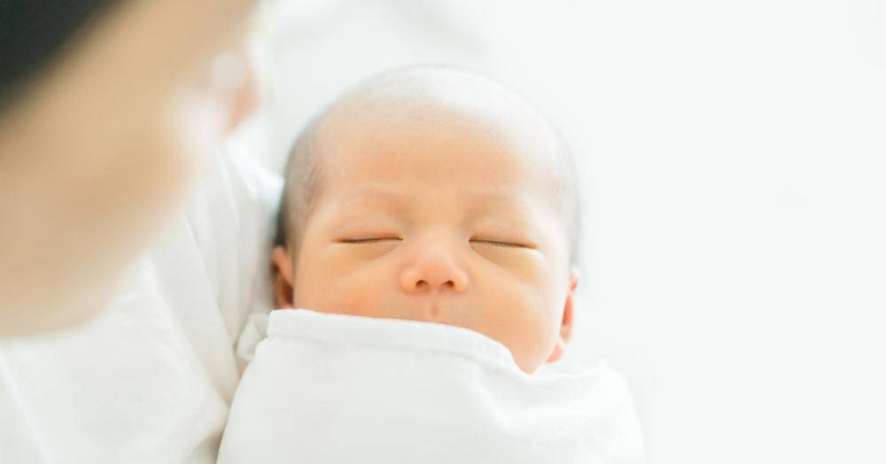 Shutterstock/MIA Studio