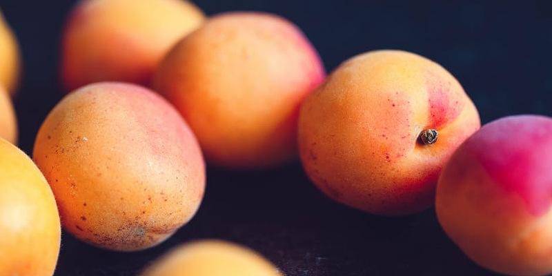 Pexels/Markus Spiske