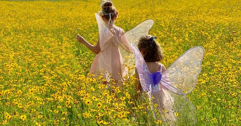 Unsplash/Allison Archer