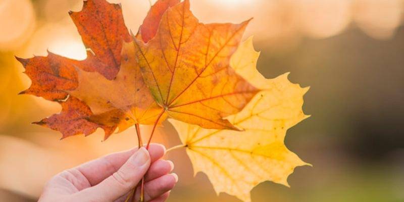 Freepik/Dragana_Gordic