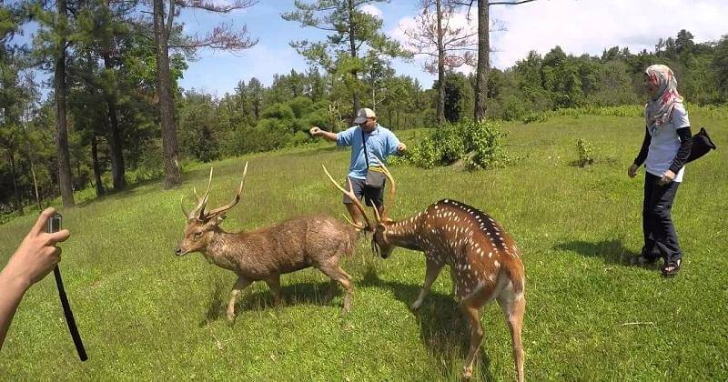 youtube.com/Daily Voyagers