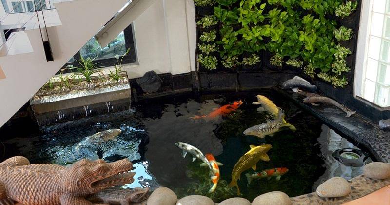 thewaterconsultant.com