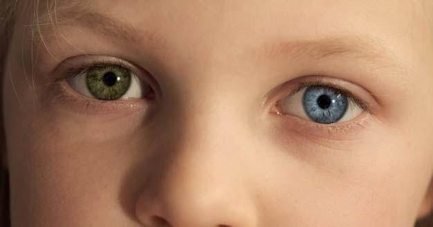 Freepik/User15094161