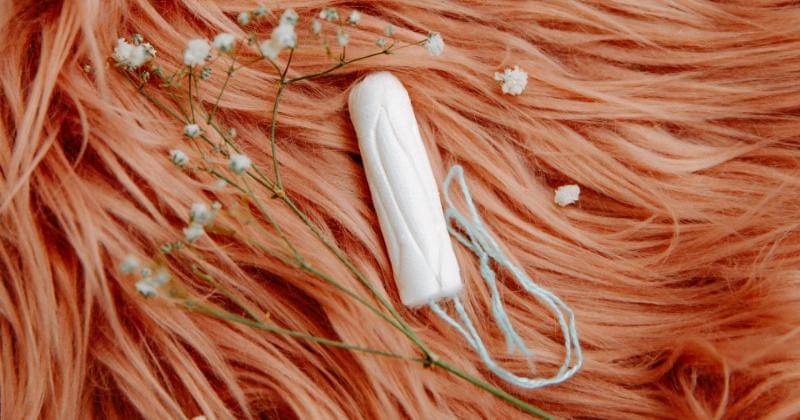 Pexels/Polina Zimmerman